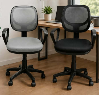 LE Desk MEGR04 Ergonomic Computer Chair w/ Gas Lift